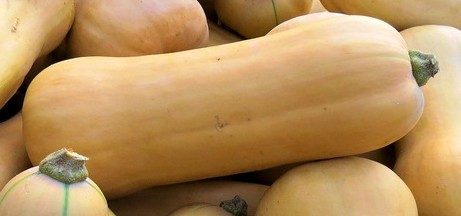 Butternut
