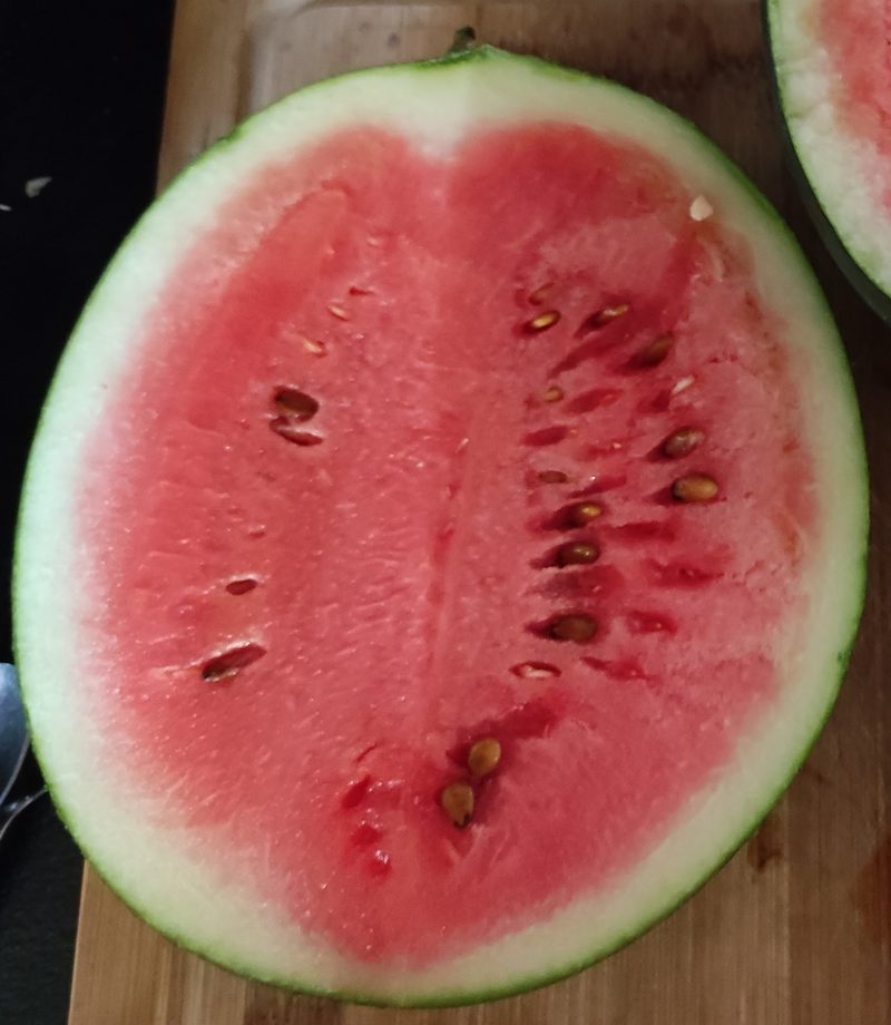 Pastèque
