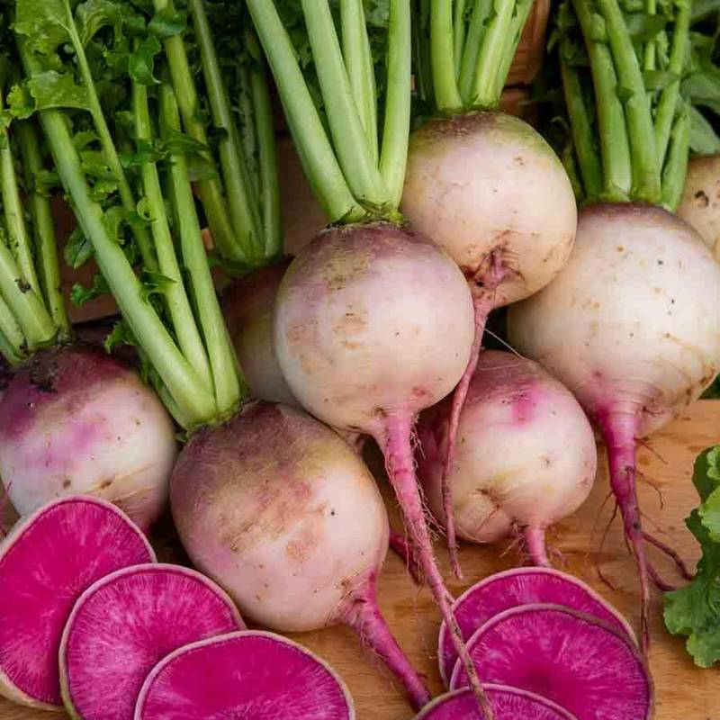 Radis Red Meat