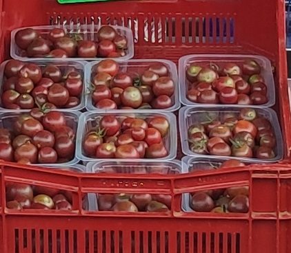 Tomate cerise